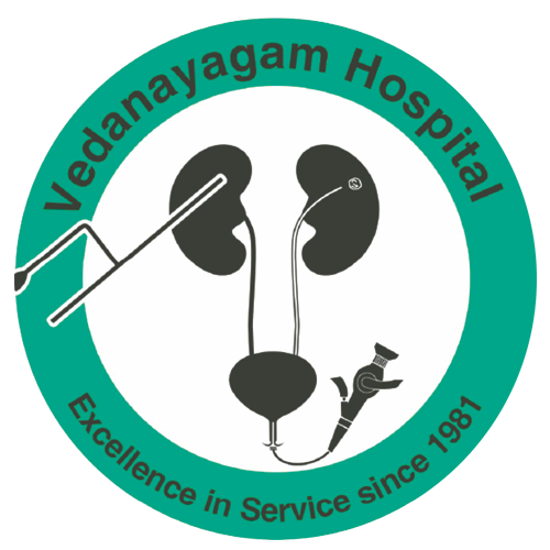 VNH logo-website