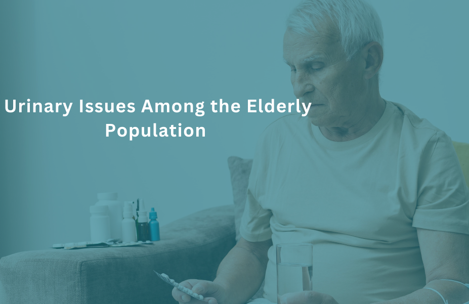 Exploring the prevalent urinary issues among the elderly population.
