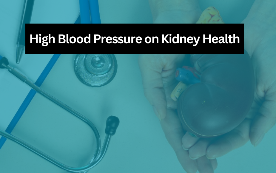 Impact Of High Blood Pressure On Kidney Health VNH