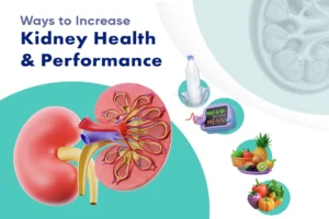 Kidney Health and Performance