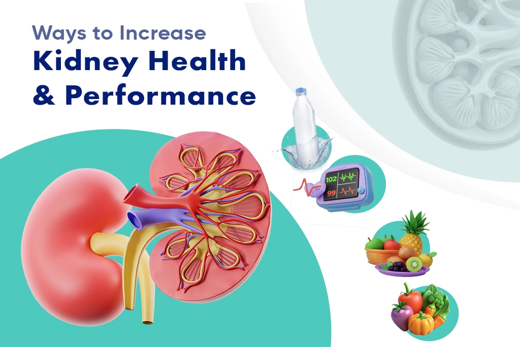 Kidney Health and Performance